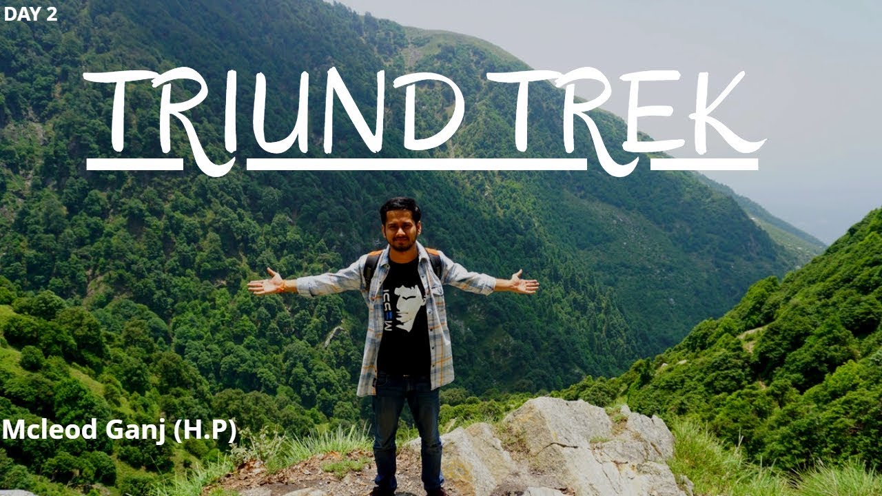 Triund Trek McLeod Ganj H.P Vlog 2