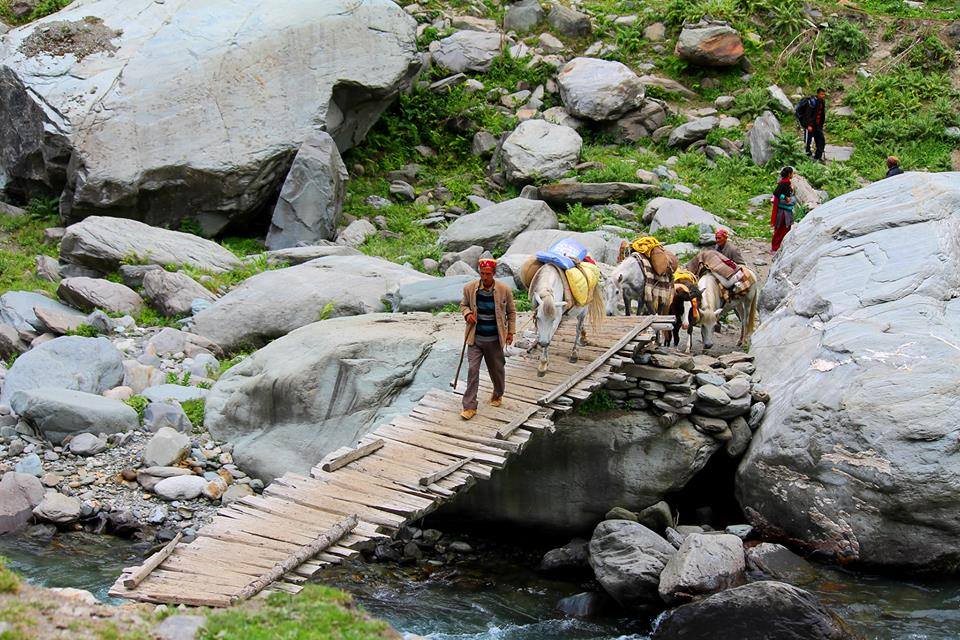 Himalayan Wander Trails