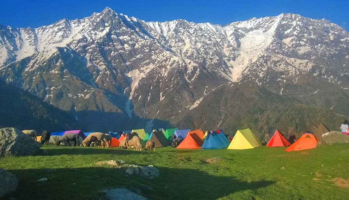 Triund Trek
