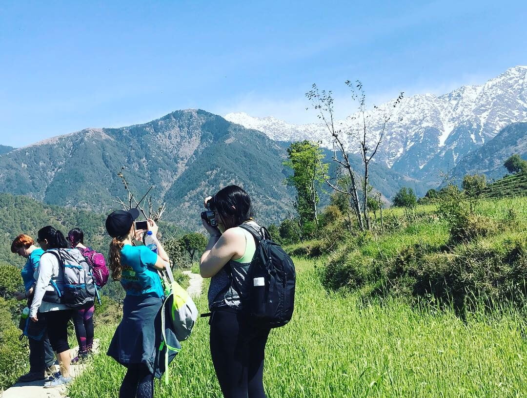 Dharamsala Herbal Trek