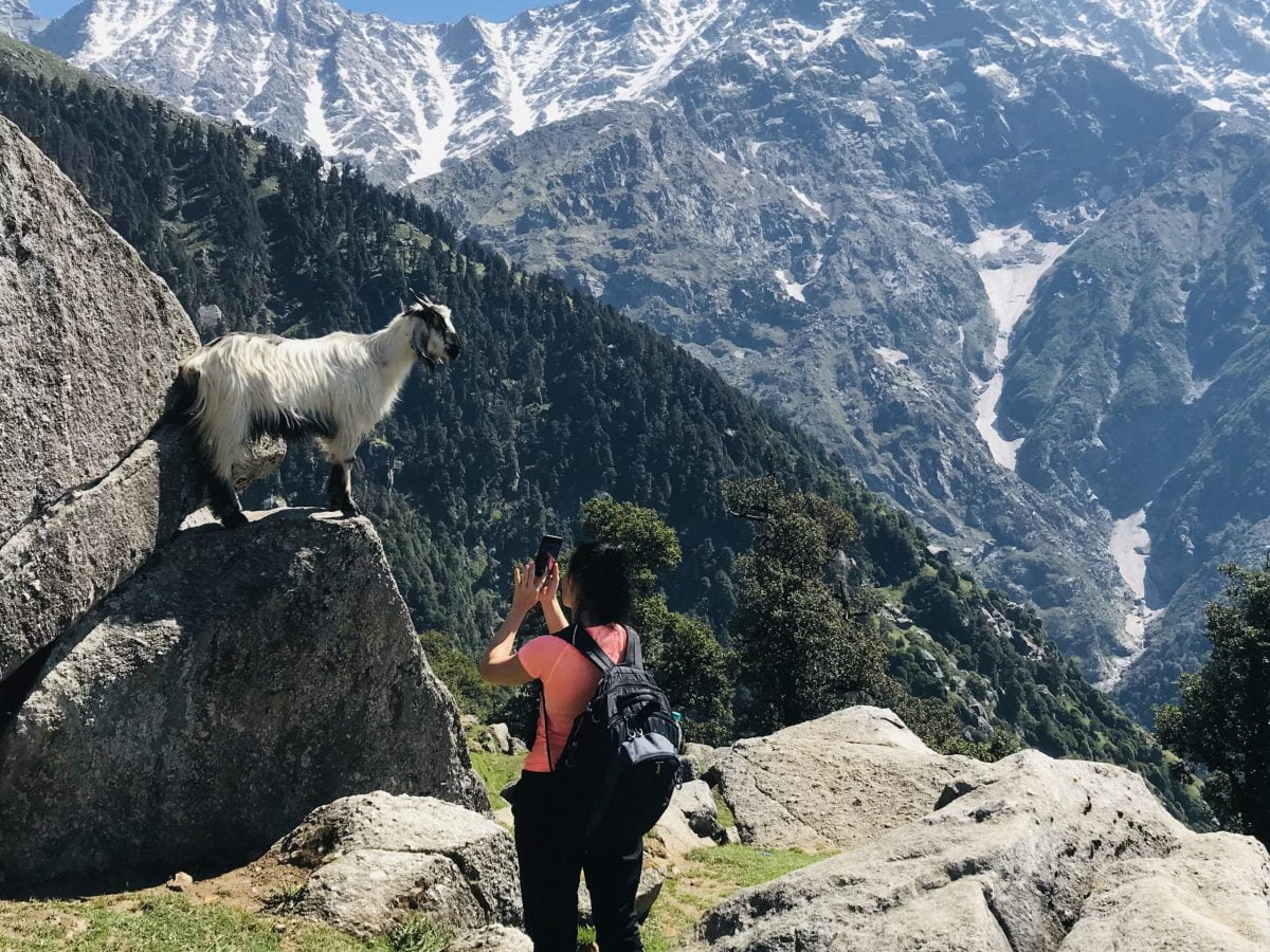 Day Hike to Triund