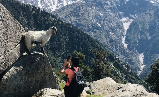 Day Hike to Triund