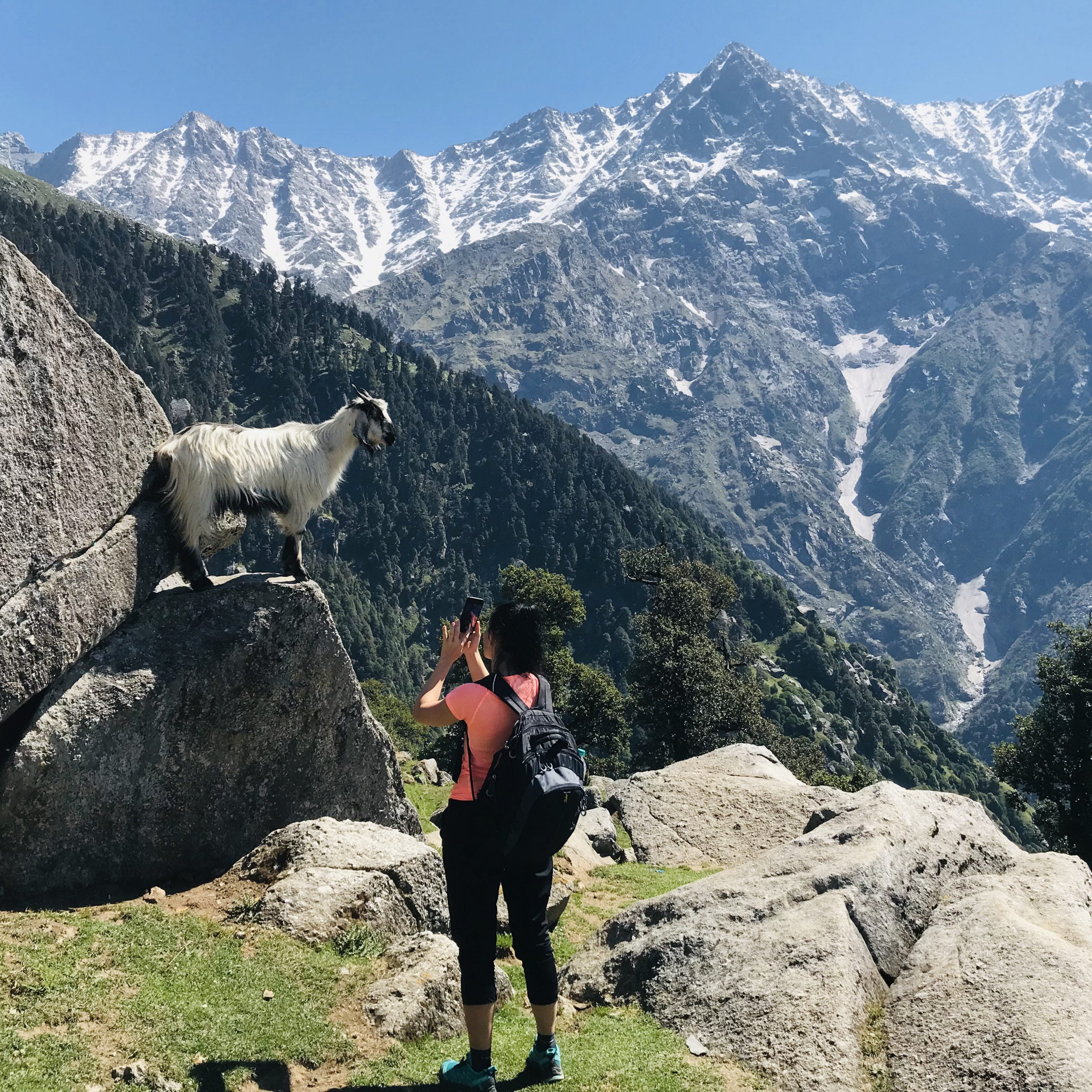 Day Hike to Triund