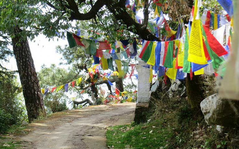 Himachal Pradesh mountain landscape