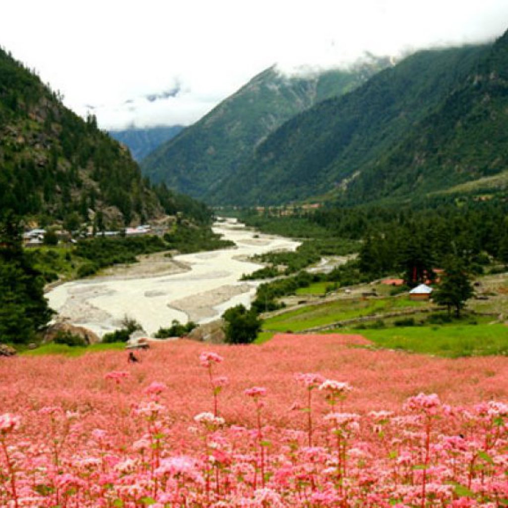 SANGLA