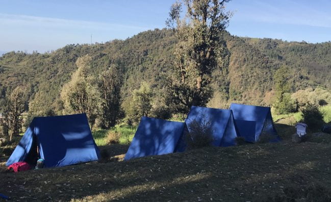 Jungle Camping in Dharamsala