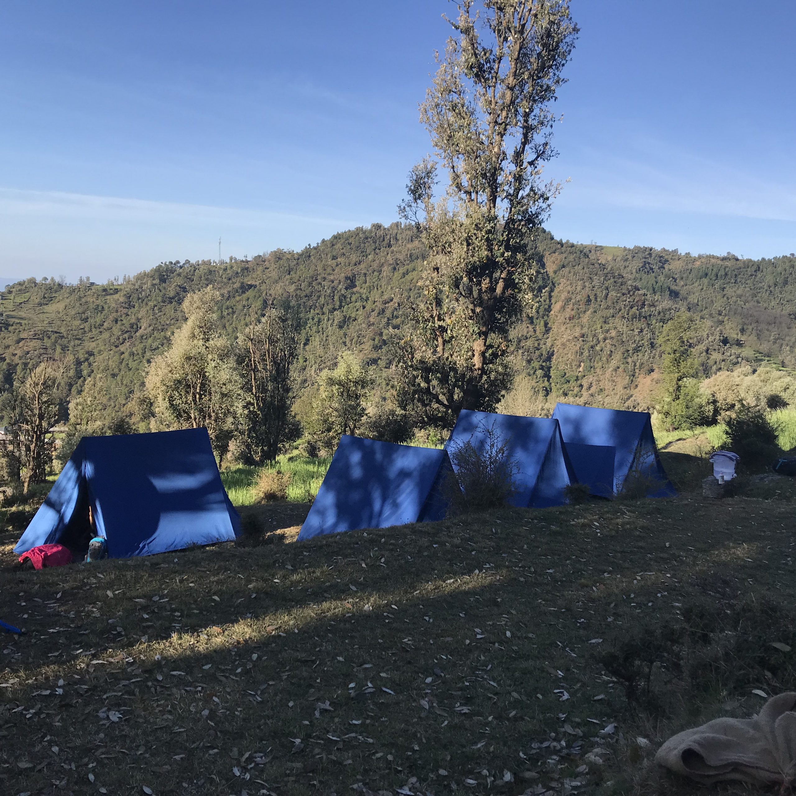 Jungle Camping in Dharamsala