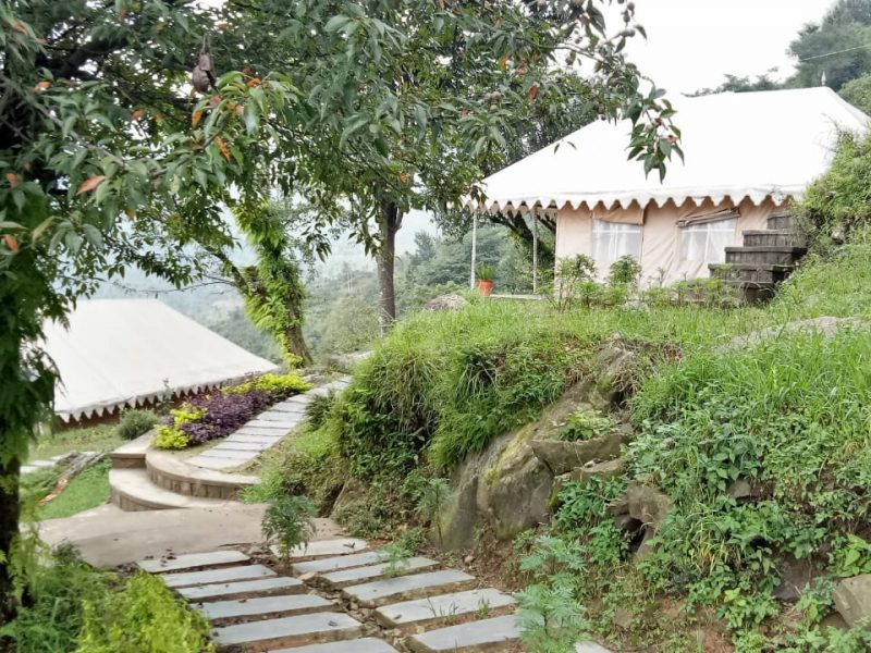 Luxury camps in Dharamshala
