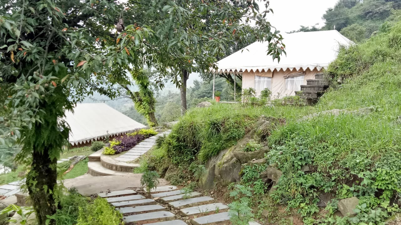 Luxury camps in Dharamshala