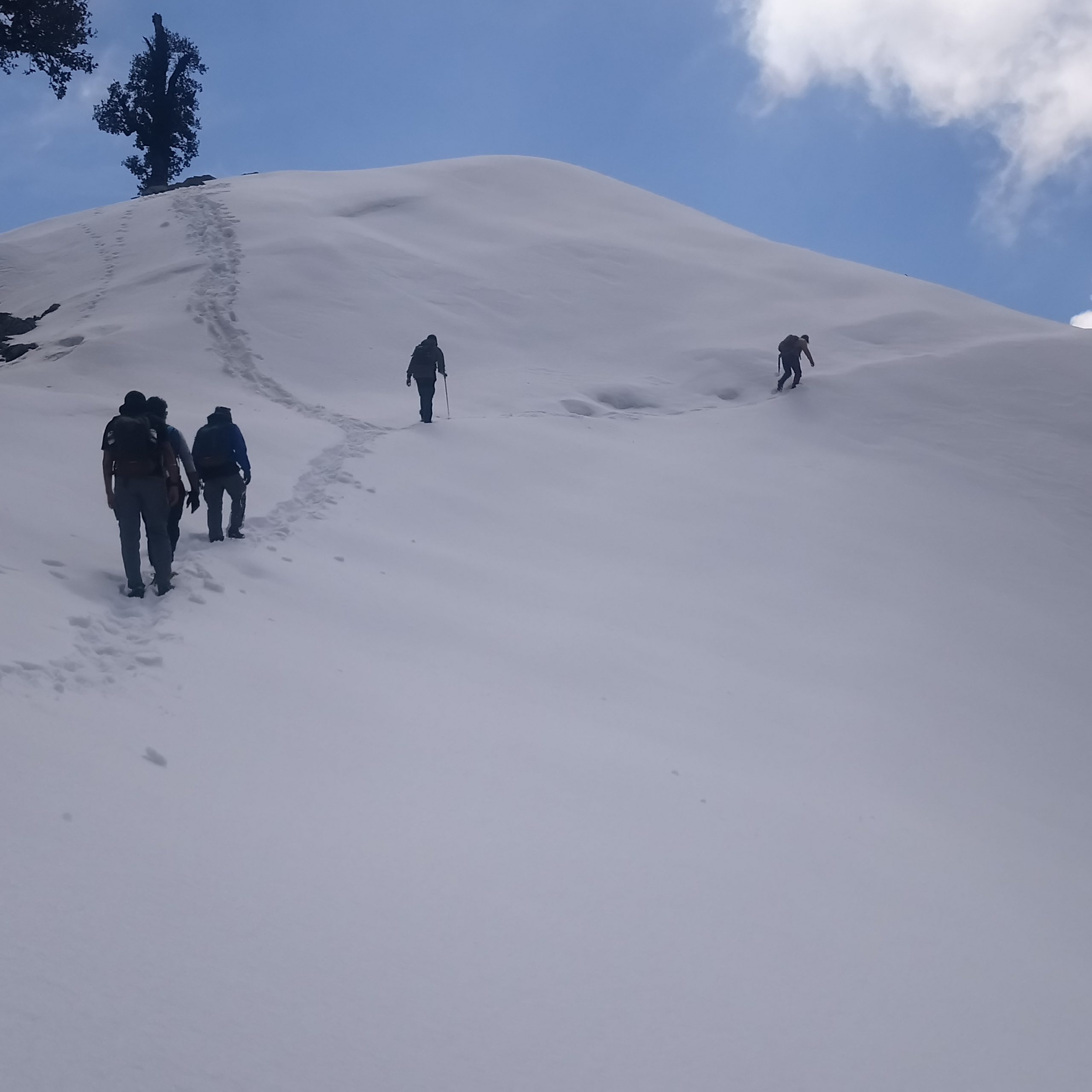 Snow Line Trek