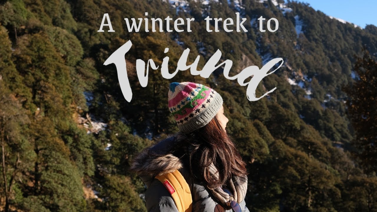 Triund Trek, Mcleodganj, Dharamshala | Triund trek in Winter