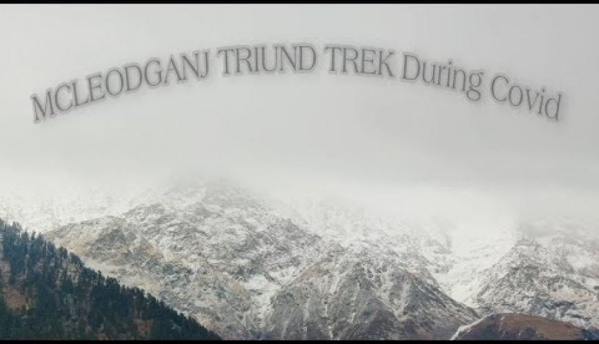 Mcleodganj triund trek || During covid || Himachal Pradesh