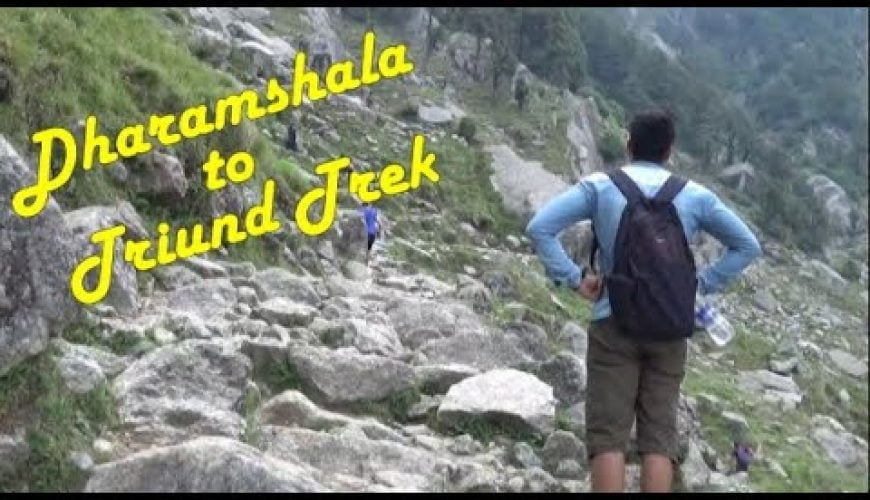 Triund Trek | Galu Mata Temple to Triund Trekking | Dharamshala to Triund Trekking