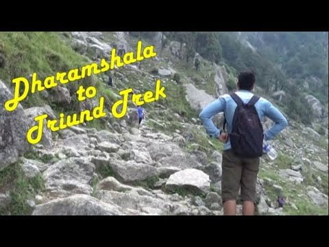 Triund Trek | Galu Mata Temple to Triund Trekking | Dharamshala to Triund Trekking