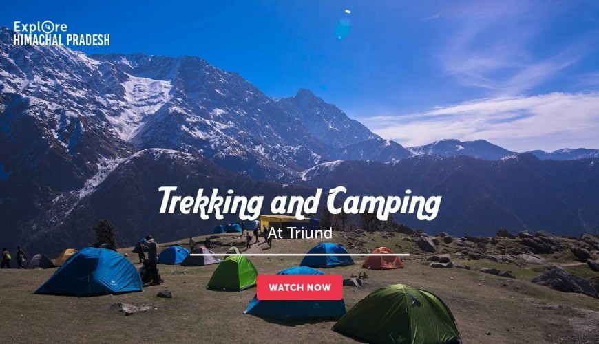 Trekking and Camping at Triund