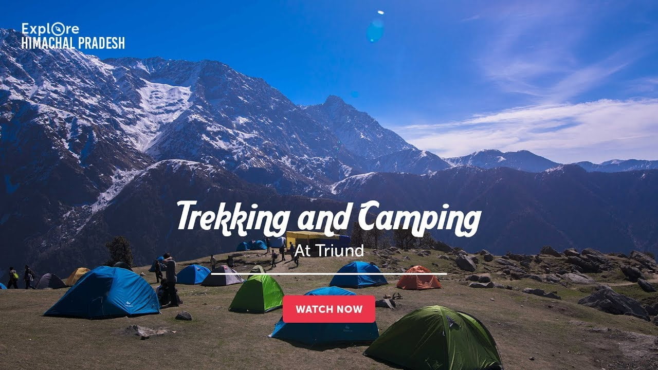 Trekking and Camping at Triund