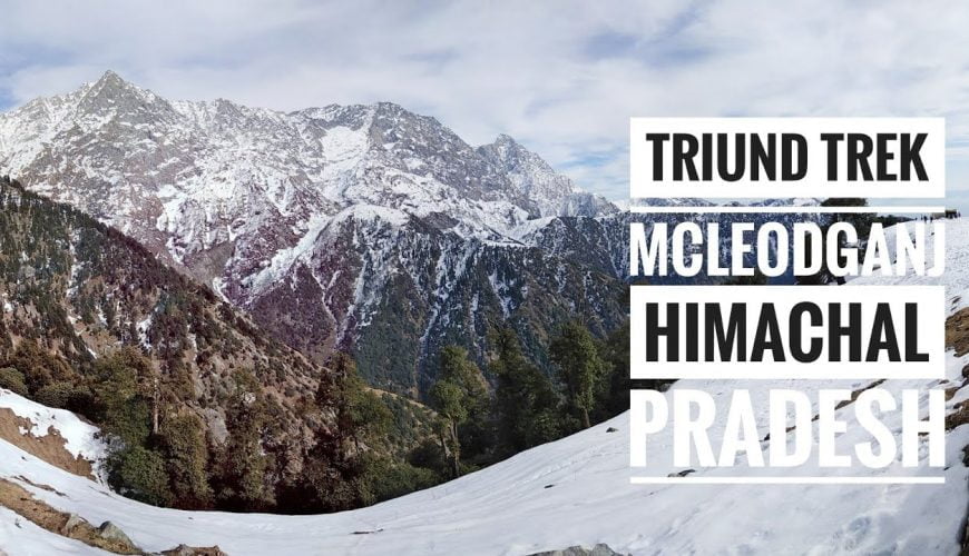 Triund Trek in Winters|Mcleodganj|Day-2 !