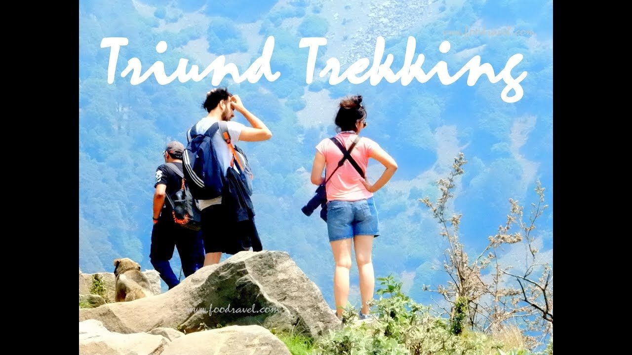 Triund Trekking From Dharamkot – Solo Travelling