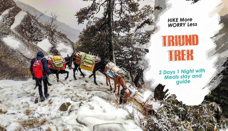 Triund Trek Uncia Trails