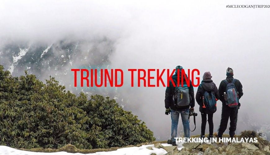 TRIUND TREKKING | TRIUND SNOWFALL TREKKING | MCLEODGANJ TO TRIUND