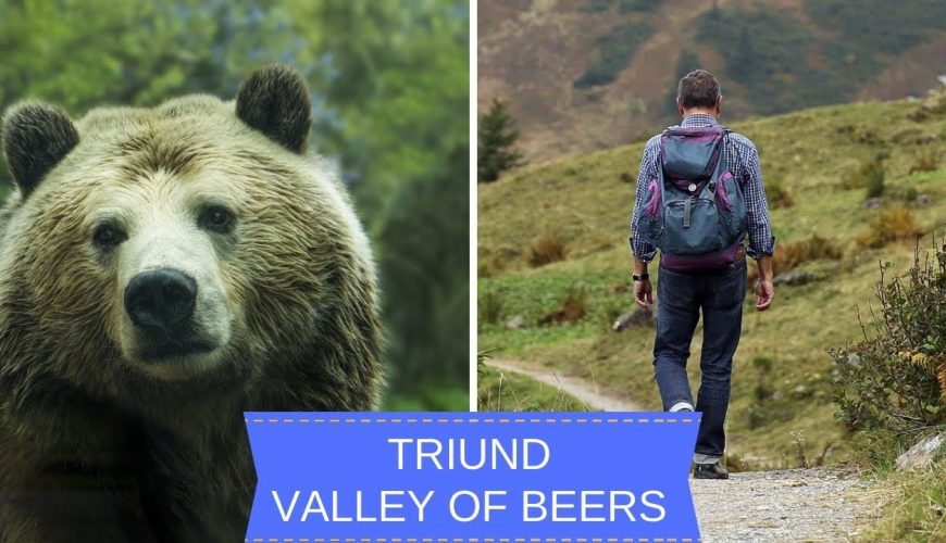 Triund Trek I Valley Of Bears I 1 Day Tour I Himachal Pardesh