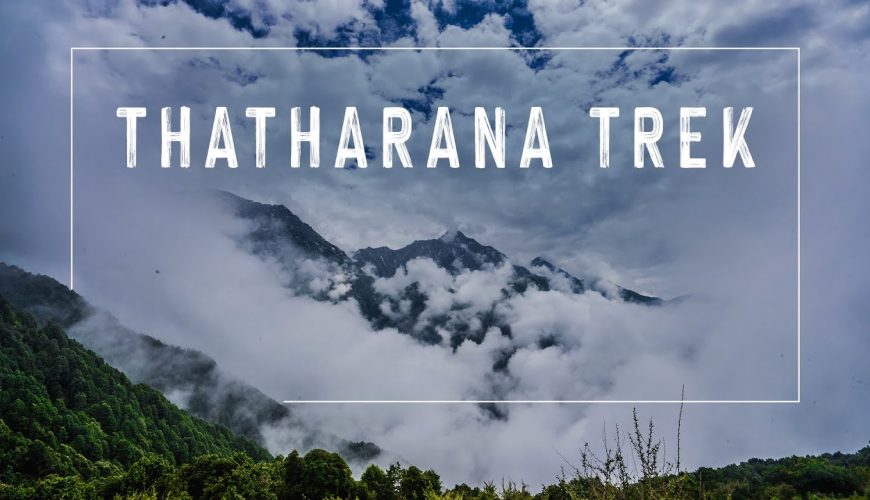 Thatharana Trek | Triund is not the only trek in Dharamshala | Himachal Pradesh