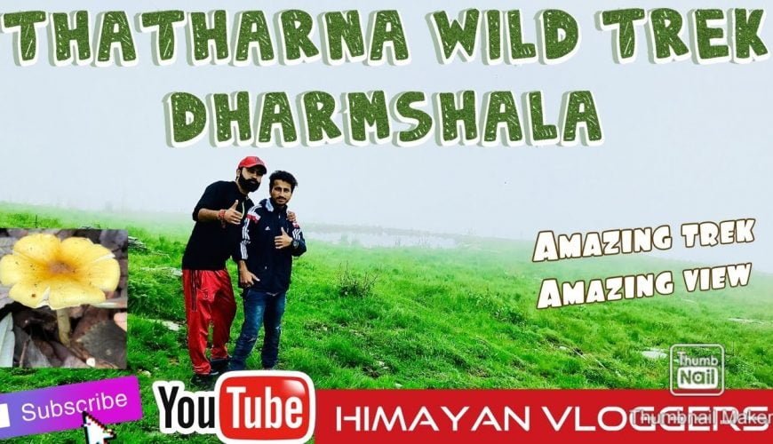 Thatharana Trek-Triund's Alternative II Dharamshala Khniyara Village II Himachal Pradesh Vlog II