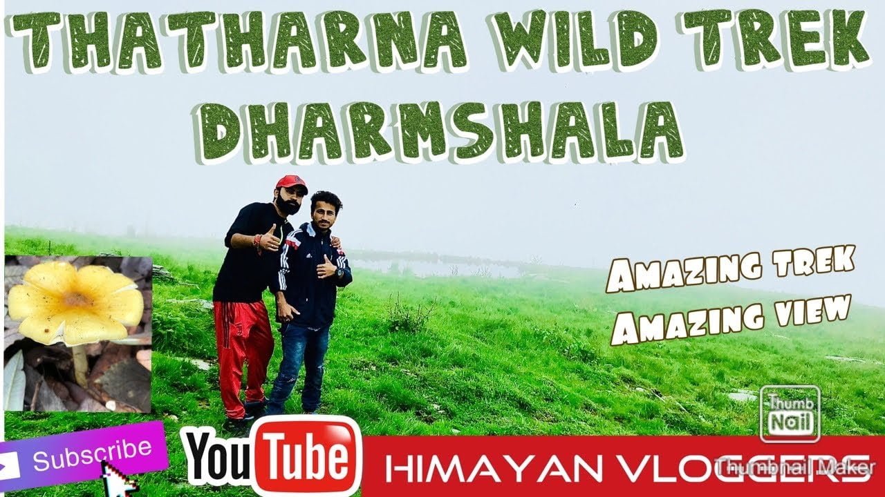 Thatharana Trek-Triund's Alternative II Dharamshala Khniyara Village II Himachal Pradesh Vlog II