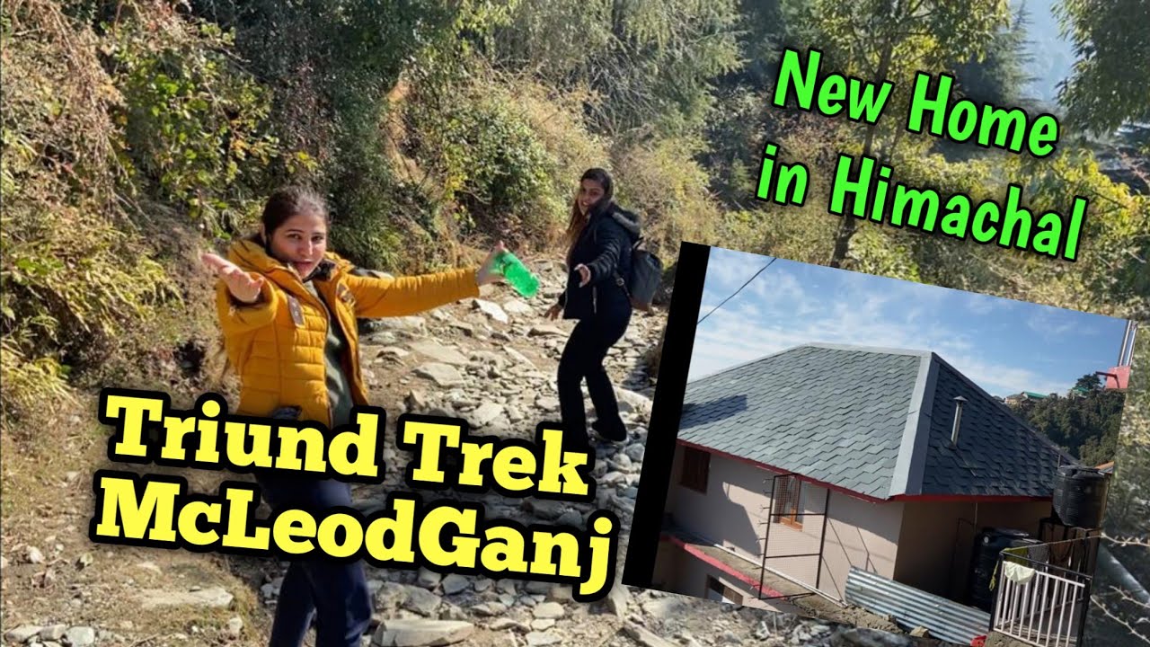 #Mcleodganj Triund Trek near Mcleodganj || Part 2 || Mcleodganj Dharamshala Himachal Pradesh