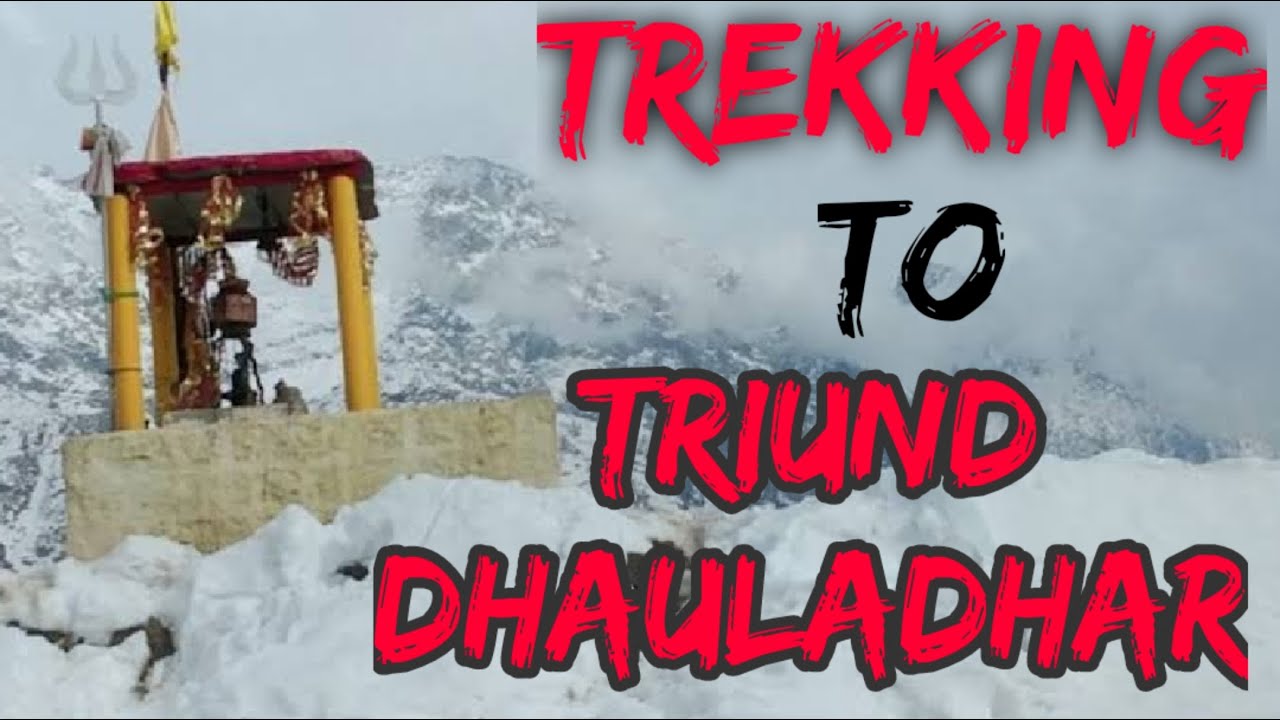Trekking To Triund Dhauladhar In Himachal Pradesh | triund trek kese ja skte hai| pahari munda