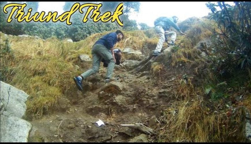 Triund Trek, Dharmshala || Complete Trekking || Kangra Riders