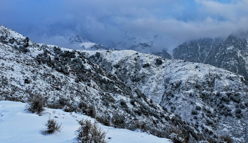 3 easy Treks for beginners in Himachal | Kheerganga Triund Kutla | #Travel #Trekking