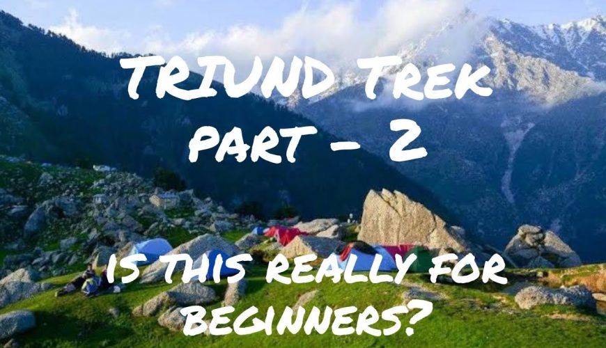 IS TRIUND REALLY FOR BEGINNERS ? | TRIUND TREK PART 2 | BUDGET TRIP | #triund #trek  #macleodganj