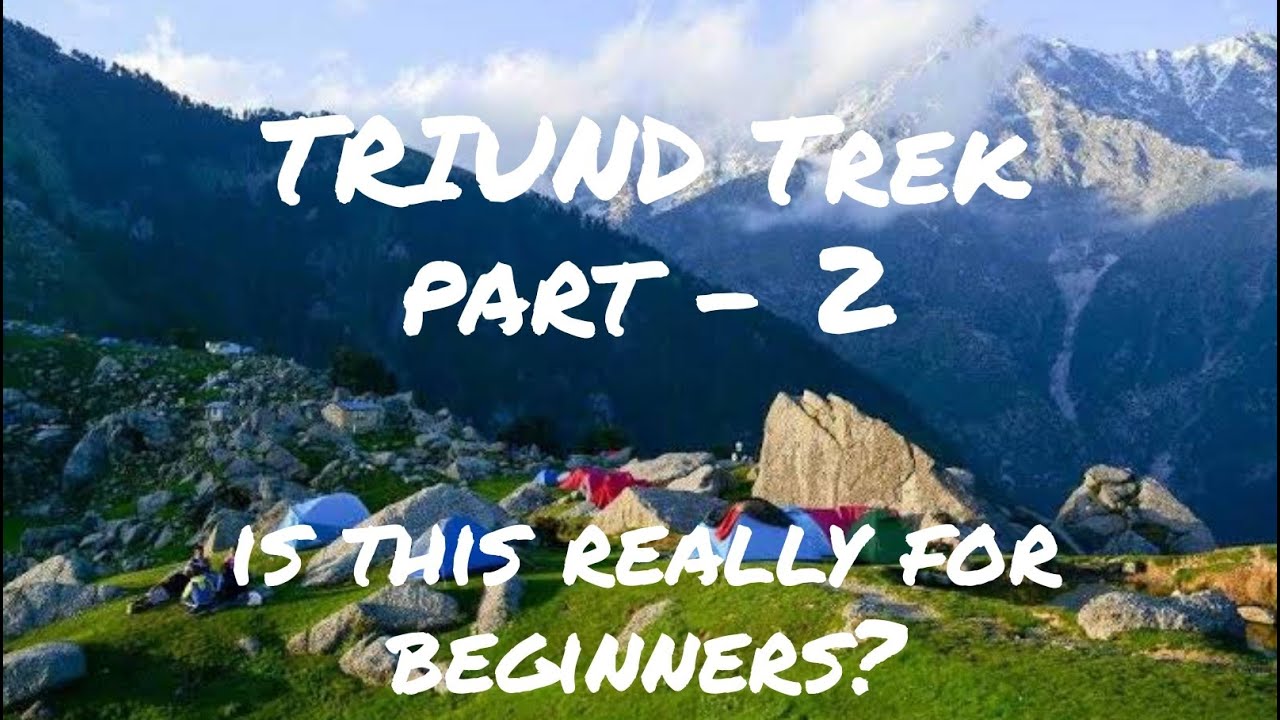 IS TRIUND REALLY FOR BEGINNERS ? | TRIUND TREK PART 2 | BUDGET TRIP | #triund #trek  #macleodganj