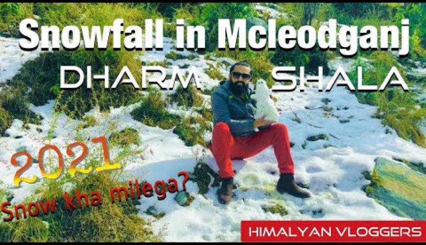 Snowfall In Mcleodganj Dharmshala II Snowfall is here 2021 II Dharmkot Triund II Himachal II Vlog II