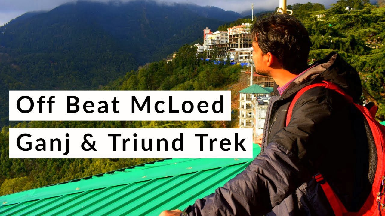 McLeod Ganj and Triund Adventures (February 2020) | Himachal Pradesh | THB Travel