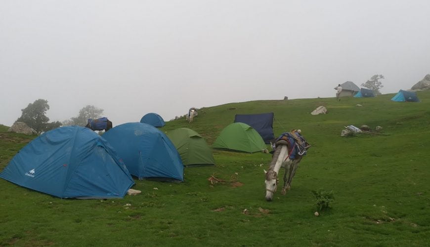 Triund Trek || Himachal Pradesh || India