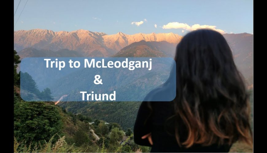 Delhi to McLeod Ganj & Triund | Himachal | Trekking | Triund | Mcleodganj | Delhiites