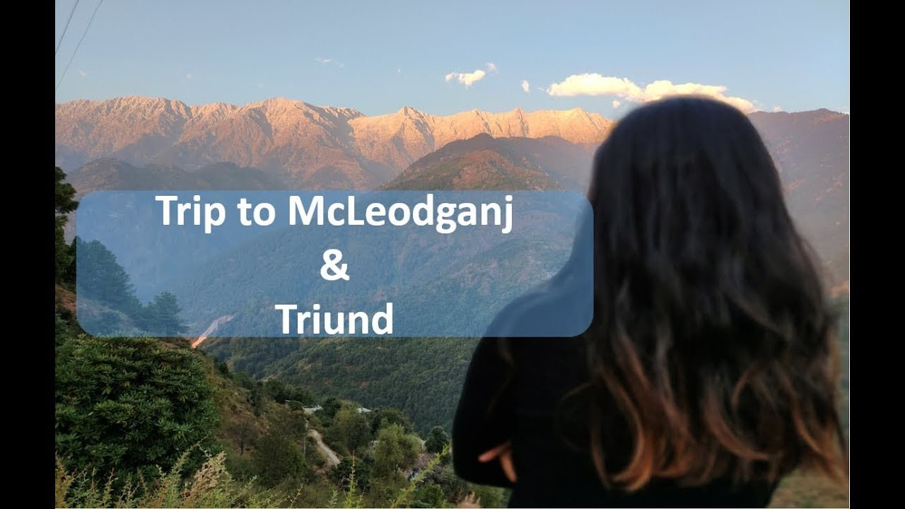 Delhi to McLeod Ganj & Triund | Himachal | Trekking | Triund | Mcleodganj | Delhiites