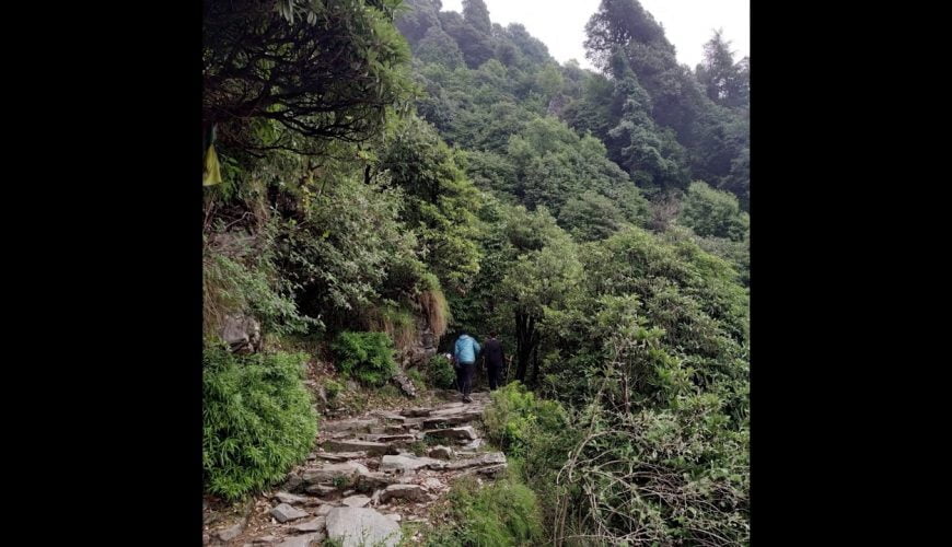 Triund trek in June | Mcleod Ganj | Exploring Himachal Pradesh