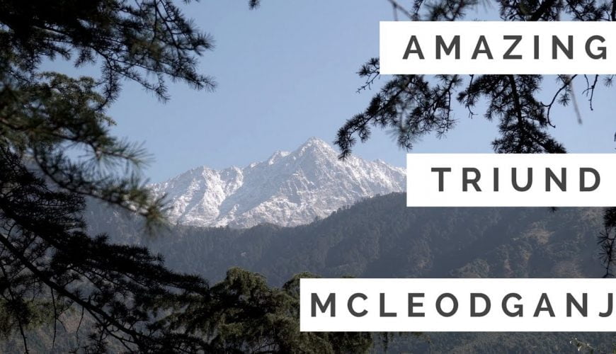 Amritsar, Mcleodganj & Dalhousie  – Part 2 – MCLEODGANJ Tour – Dal Lake, Triund, Dalai Lama Temple