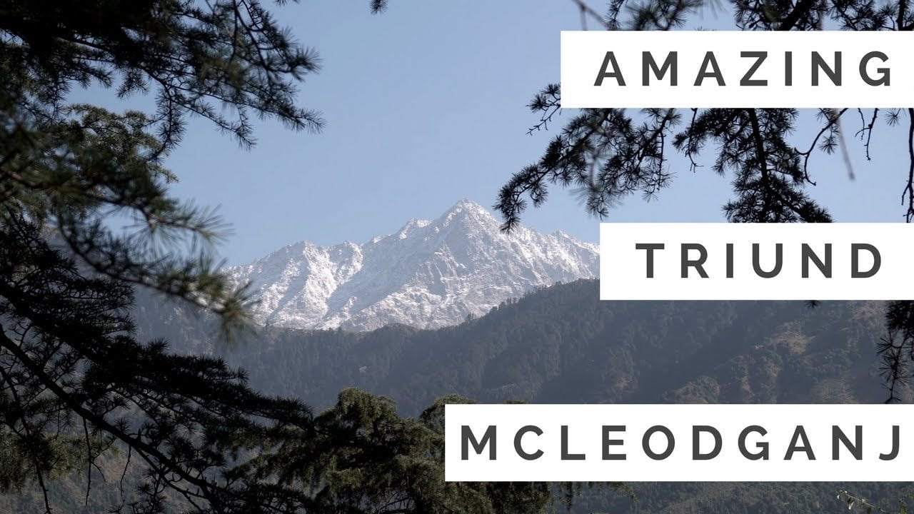 Amritsar, Mcleodganj & Dalhousie  – Part 2 – MCLEODGANJ Tour – Dal Lake, Triund, Dalai Lama Temple