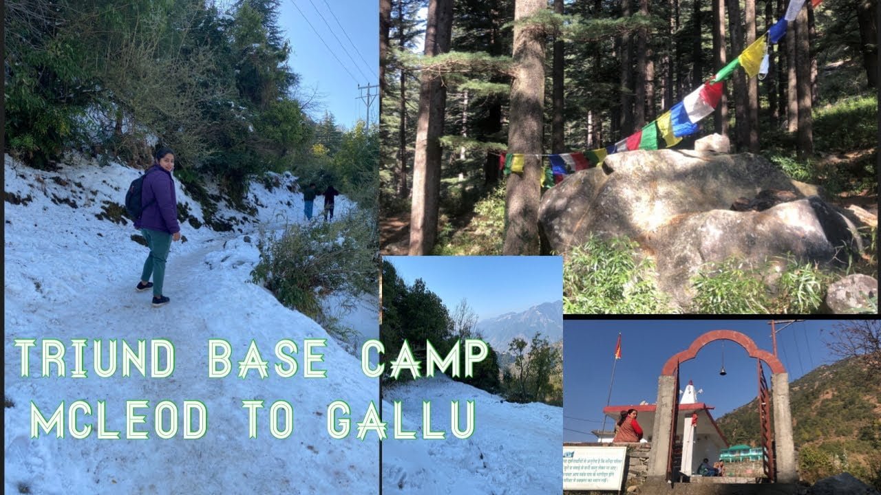 How to reach Triund base camp | Gallu waterfall | Gallu Devi Temple | McLeod Ganj to Triund Trek |
