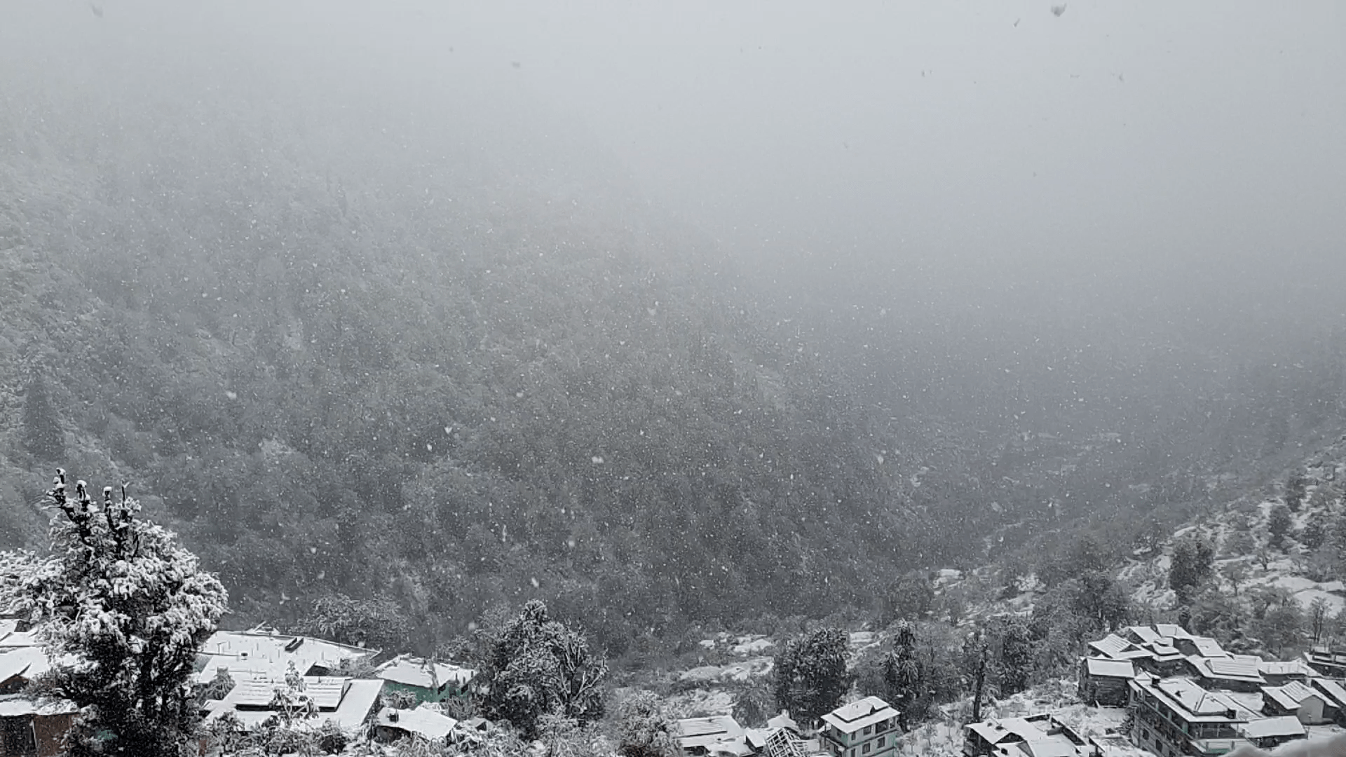 Snowfall in Tosh Village , Himachal Pradesh.