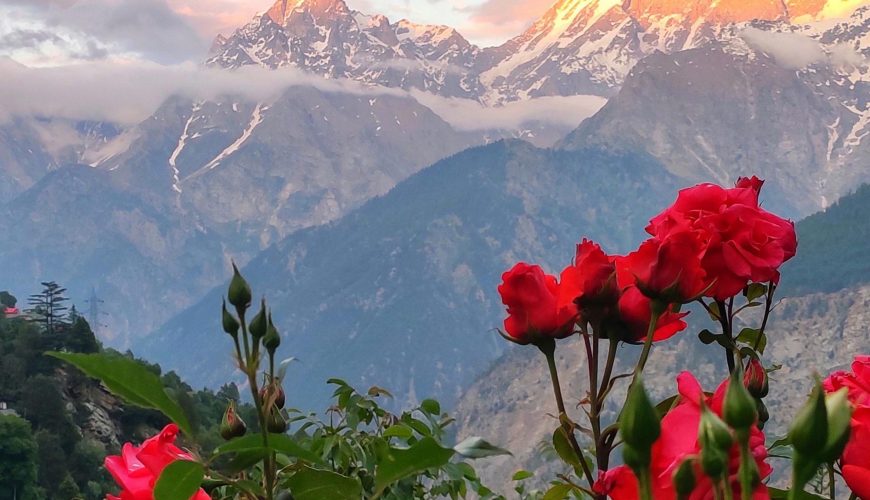 Sunset over Kinner Kailash peak of Kinnaur, India [OC] [1844*3278]