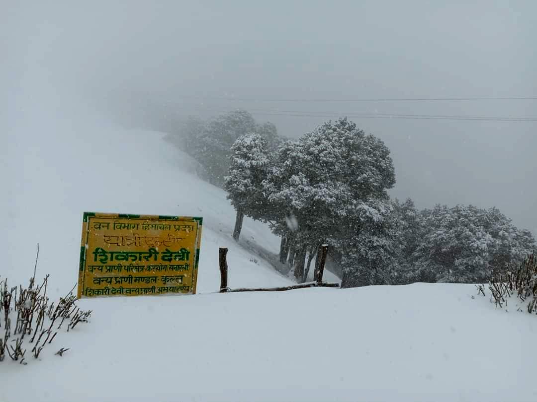 First Snowfall of season. Shikari Devi, HP